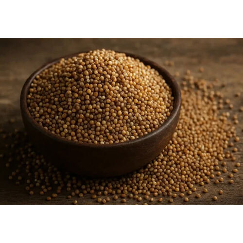 Kodo Millet (Kodra-Varagu)