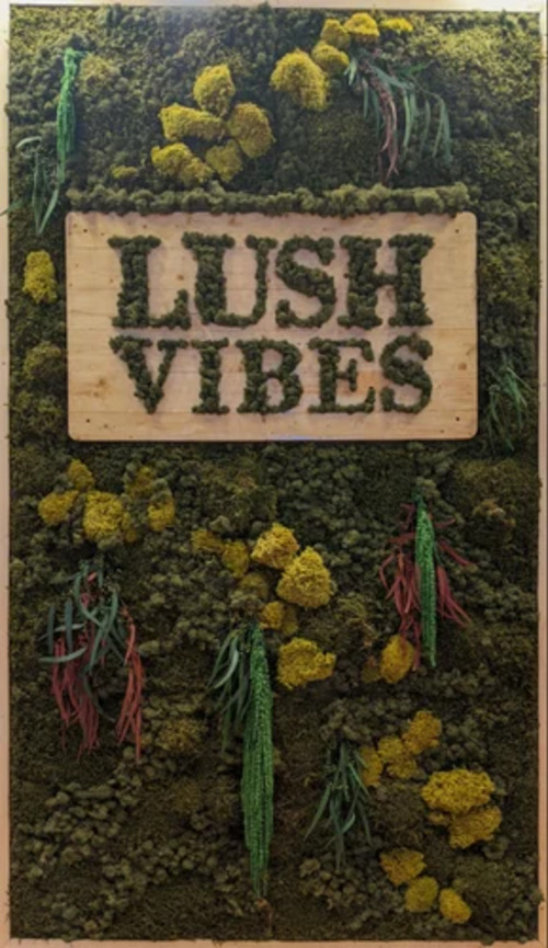 Lushvibes Moss Wall