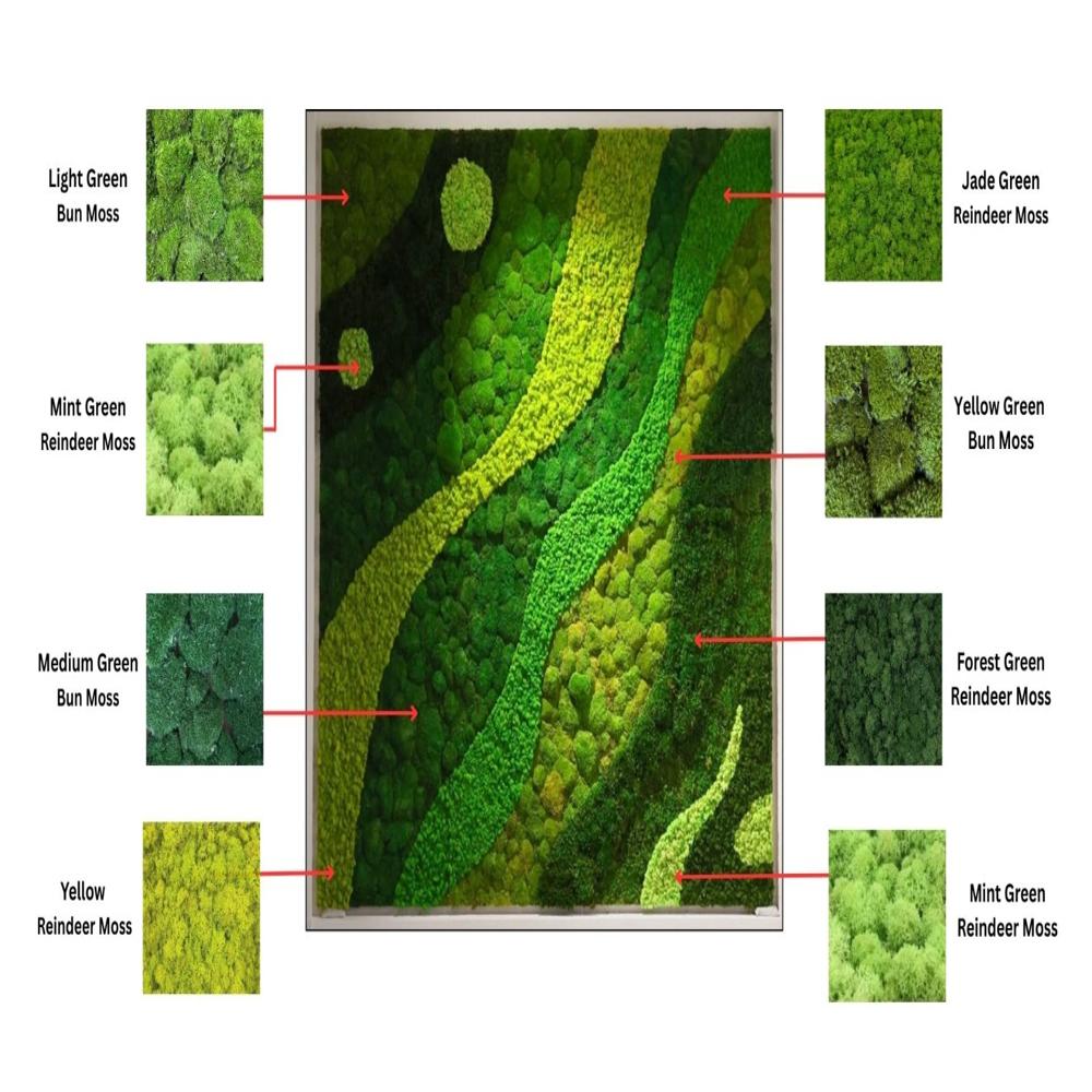 Lushvibes Decorative Moss