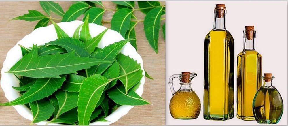 Neem Oil