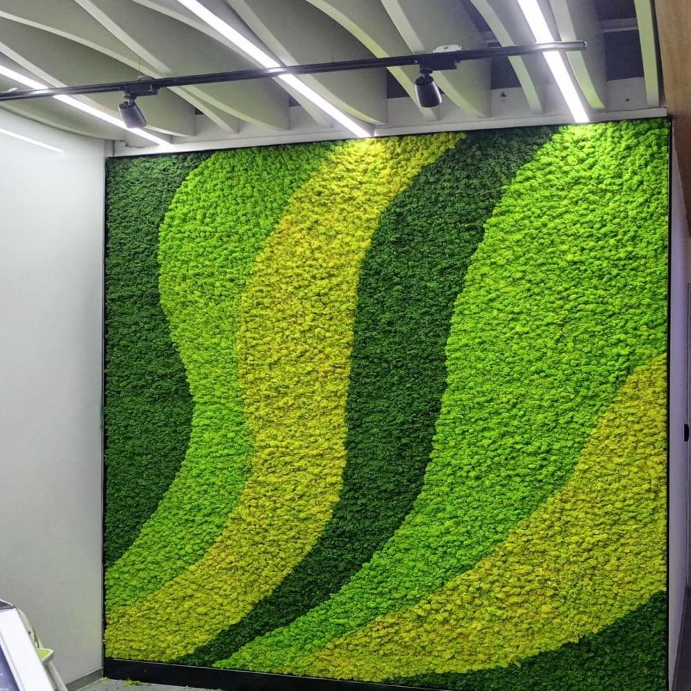 Lushvibes Green Moss Bio Wal