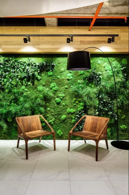 Lushvibes Moss Wall