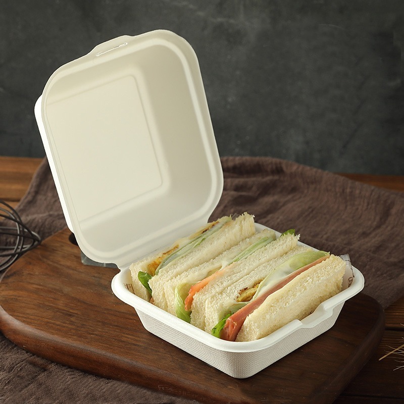 Disposable Food Packaging Box - Sugar Cane Bagasse Pulp, 6x6 Inch White Square Design | Eco Friendly, Disposable, Suitable For Hot And Cold Food