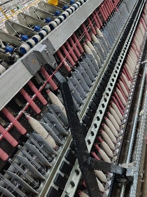 Rieter Ring Frame G 33 with Autodoffer