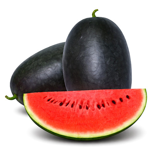 F1 Hybrid Watermelon Bheem