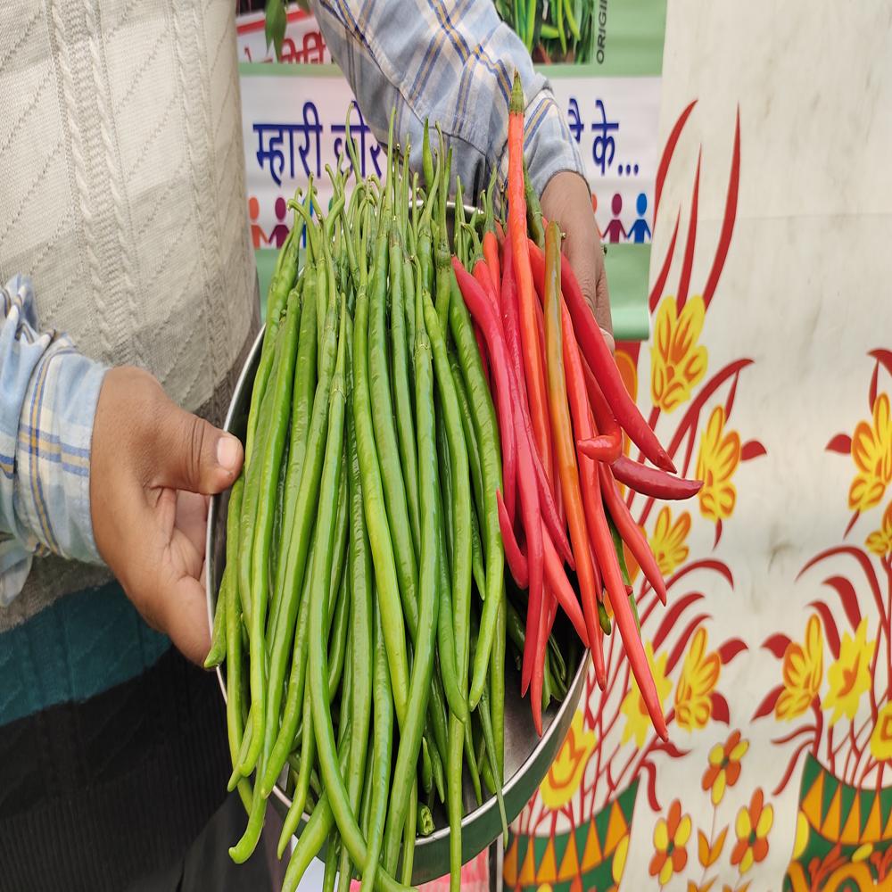 Krish MCH-27 F1 Chilli Hybrid Seeds