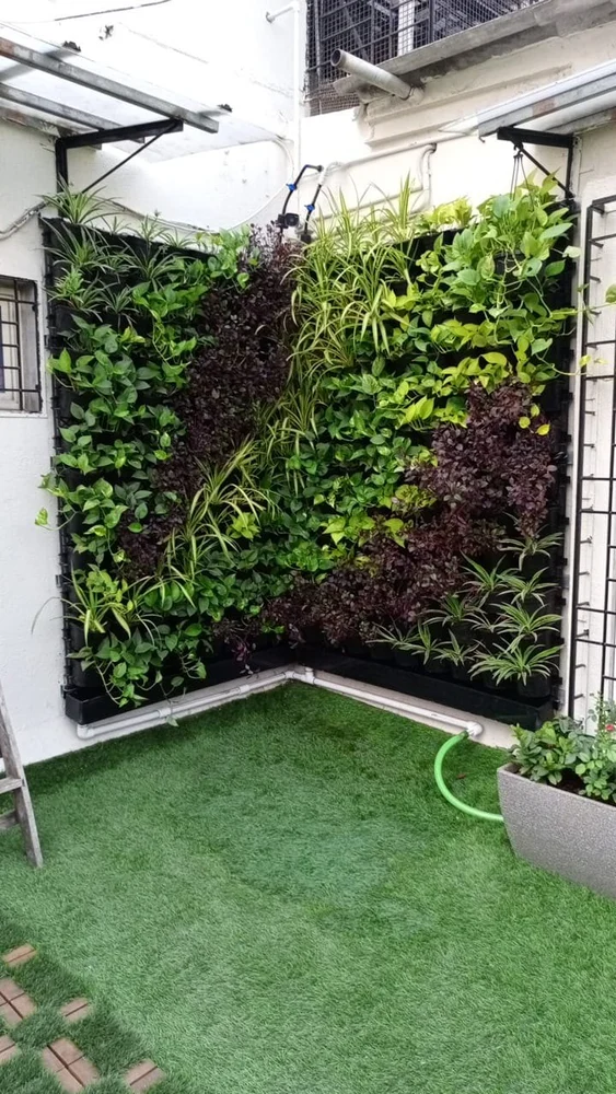 Lushvibes Natural Green Wall