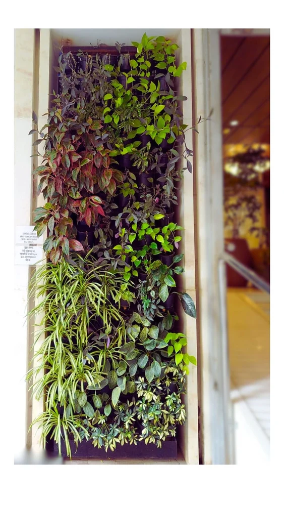 Lushvibes Natural Green Wall