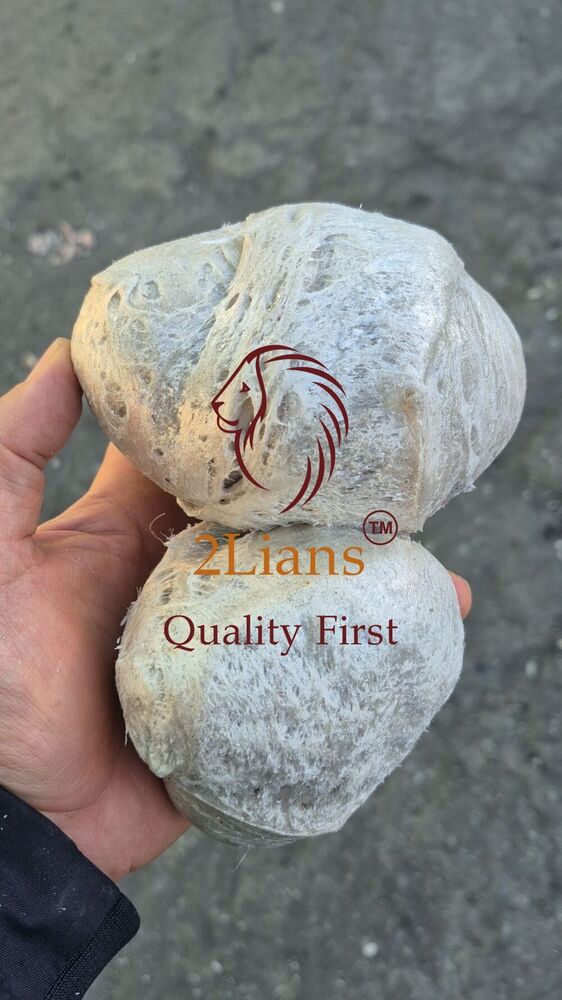 EPS Repro Pellets Grade B Light brown Origin Korea