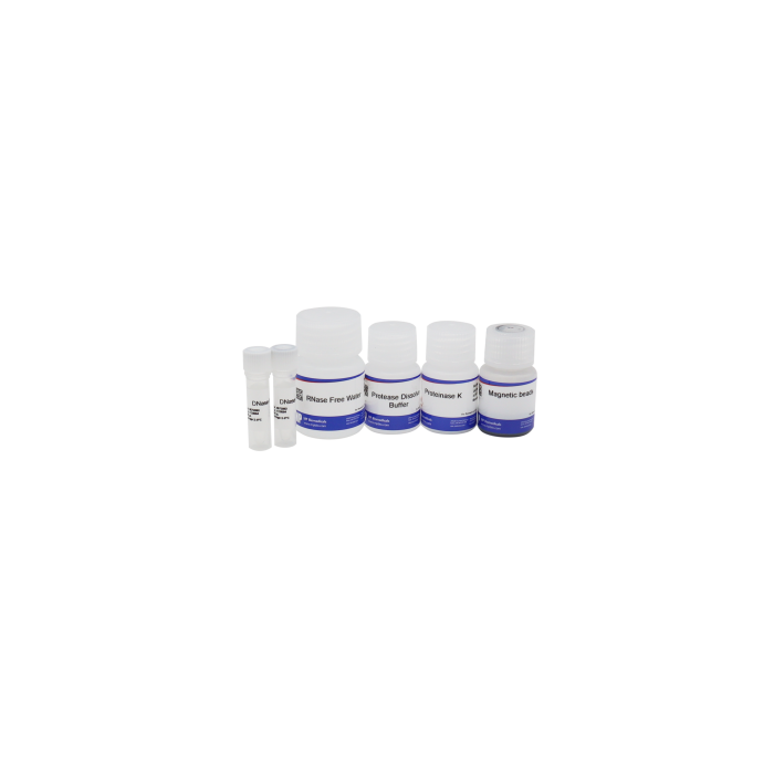 Magbeads Fastrna Kit - Cas No: 116572096