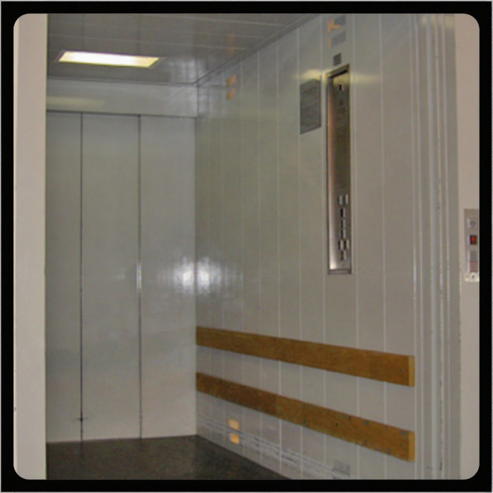 Freight Cum Passenger Elevator - Stainless Steel, 3 Ton Load, 5m Height | Electric Drive, Over Speed Protection, Repeated Door Closing