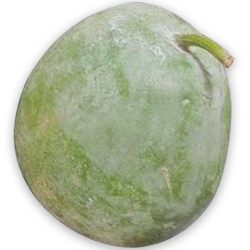 शलगम कद्दू