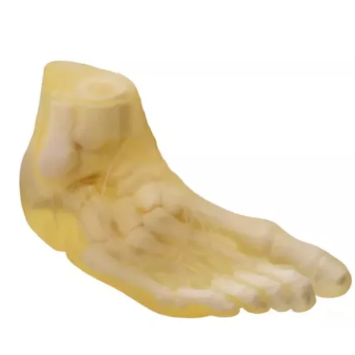 Stratasys J850 Digital Anatomy 3D Printer