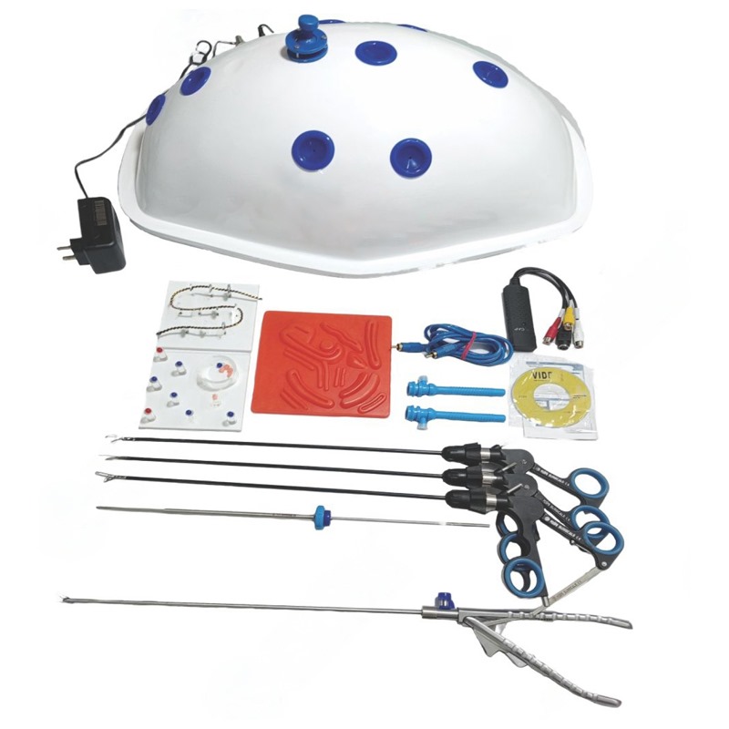 Beetle Shape Endotrainer With Full Instrument