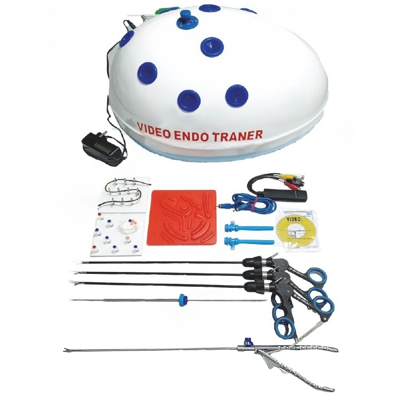 Oval Shape Endotrainer With Full Instrument 