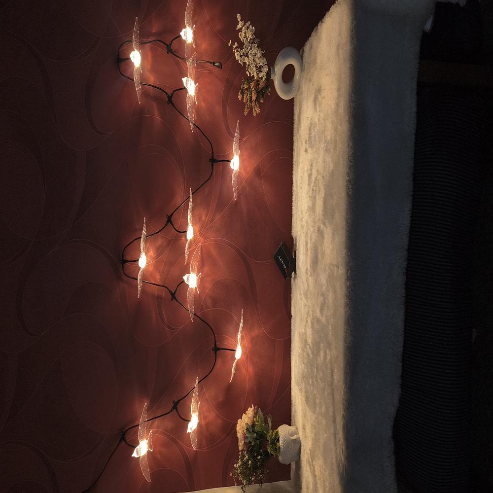 Crystal Sparrow String Light - Dimension (L*w*h): 220mmx140mmx35mm Millimeter (Mm)