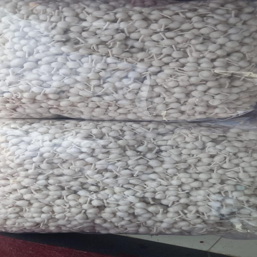 Round Cottonwick Machine Made - Color: White
