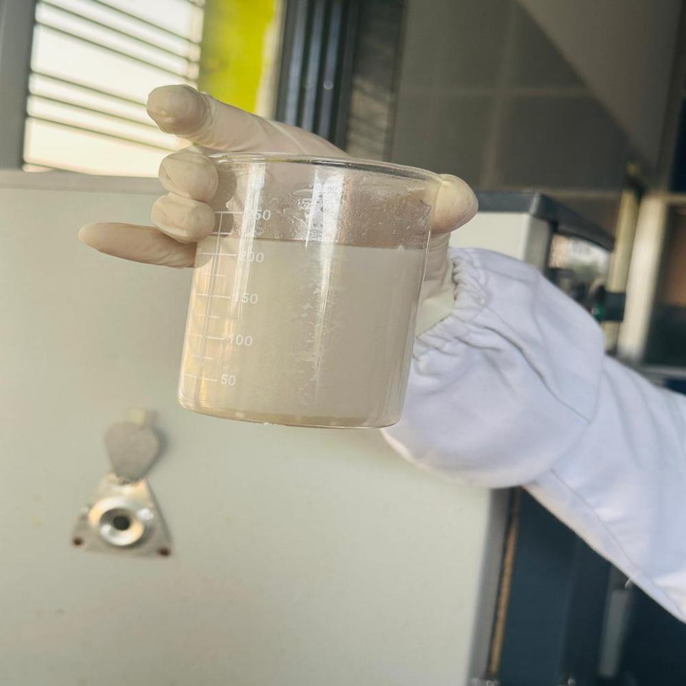 Custerd Apple Juice Powder