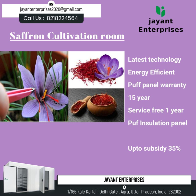 Saffron (kesar) Cultivation Room Indoor Farming by Aeroponics Technology