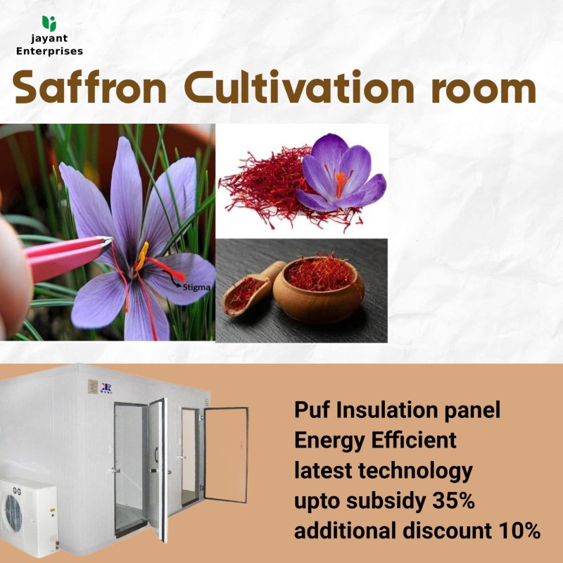 Saffron (kesar) Cultivation Room Indoor Farming by Aeroponics Technology