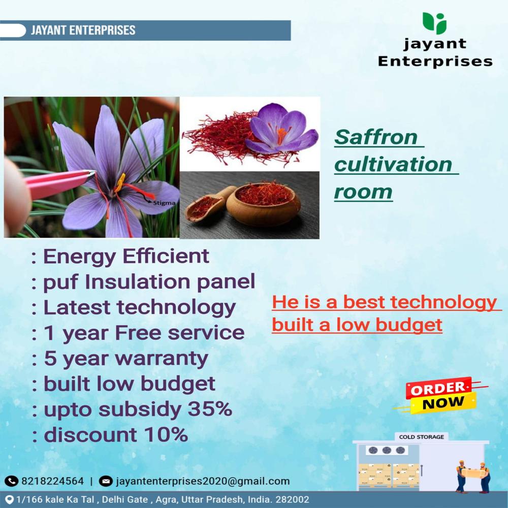 Saffron (kesar) Cultivation Room Indoor Farming by Aeroponics Technology