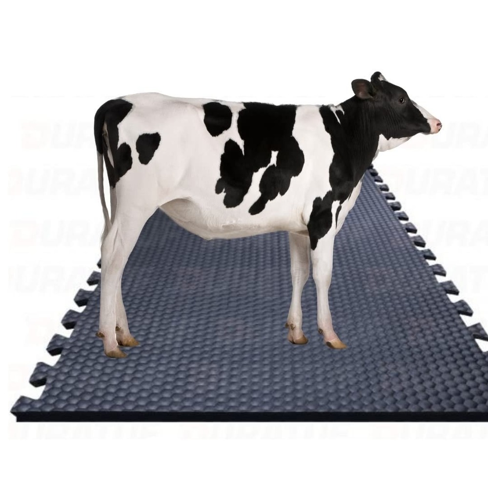 rubber cow mat