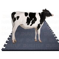 Rubber Cow Mat - Capacity: 3 Kg