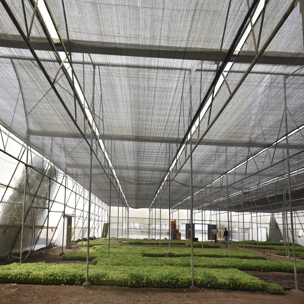 Agro Shade Net - Application: Construction