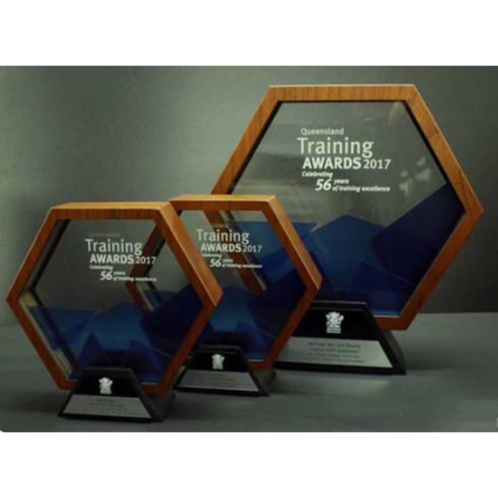 Training Award Trophy - High-quality Acrylic, 10-15 Inches , Customized Color & Logo Features