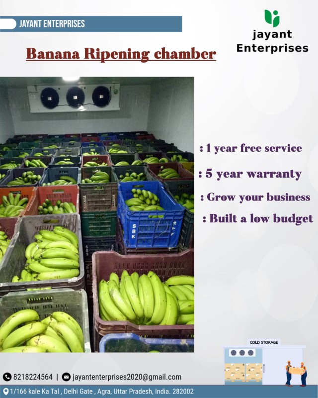 Banana Ripening Chamber