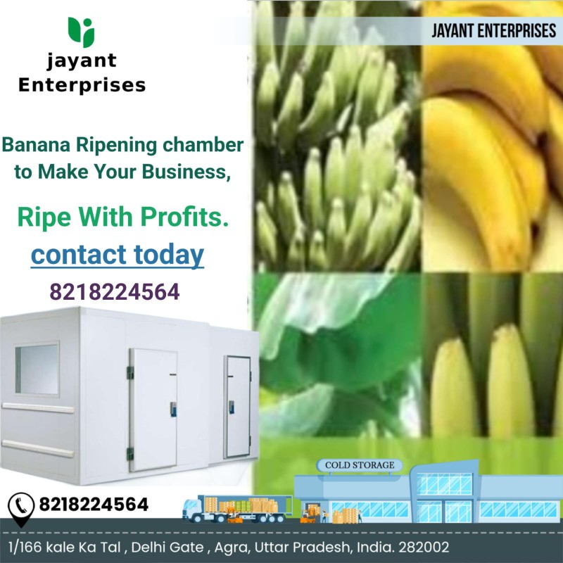 Banana Ripening Chamber