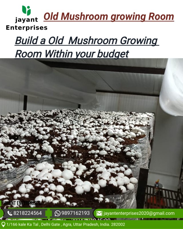 Mushroom Growing Chamber