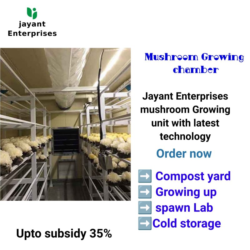 Mushroom Growing Chamber
