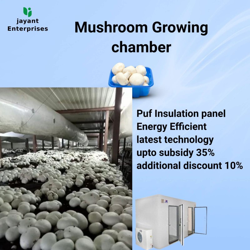 Mushroom Growing Chamber