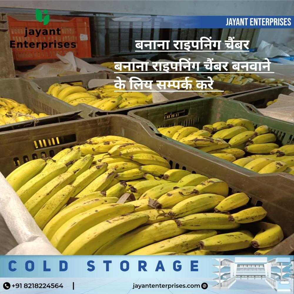 Old Banana Ripening Chamber
