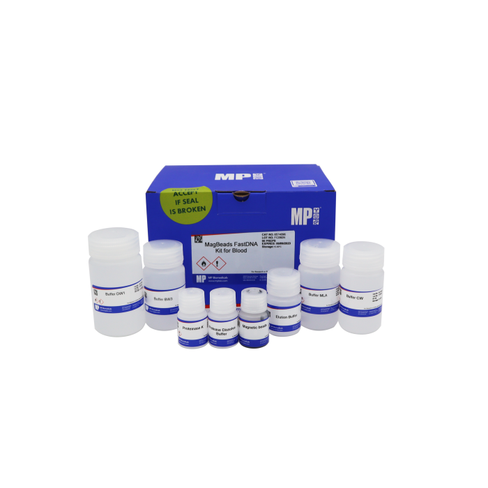 MagBeads FastDNA Kit for Blood