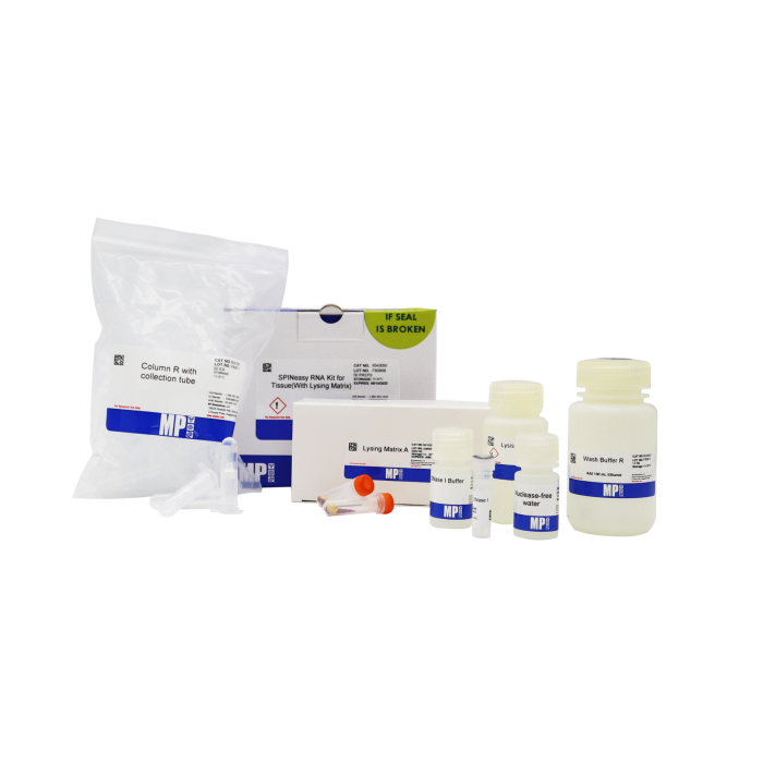 SPINeasy RNA Kit for Tissue (With Lysing Matrix)