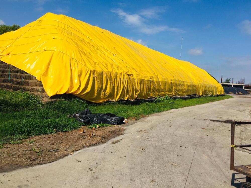 Yellow Multi Cross Laminated Tarpaulin Cover