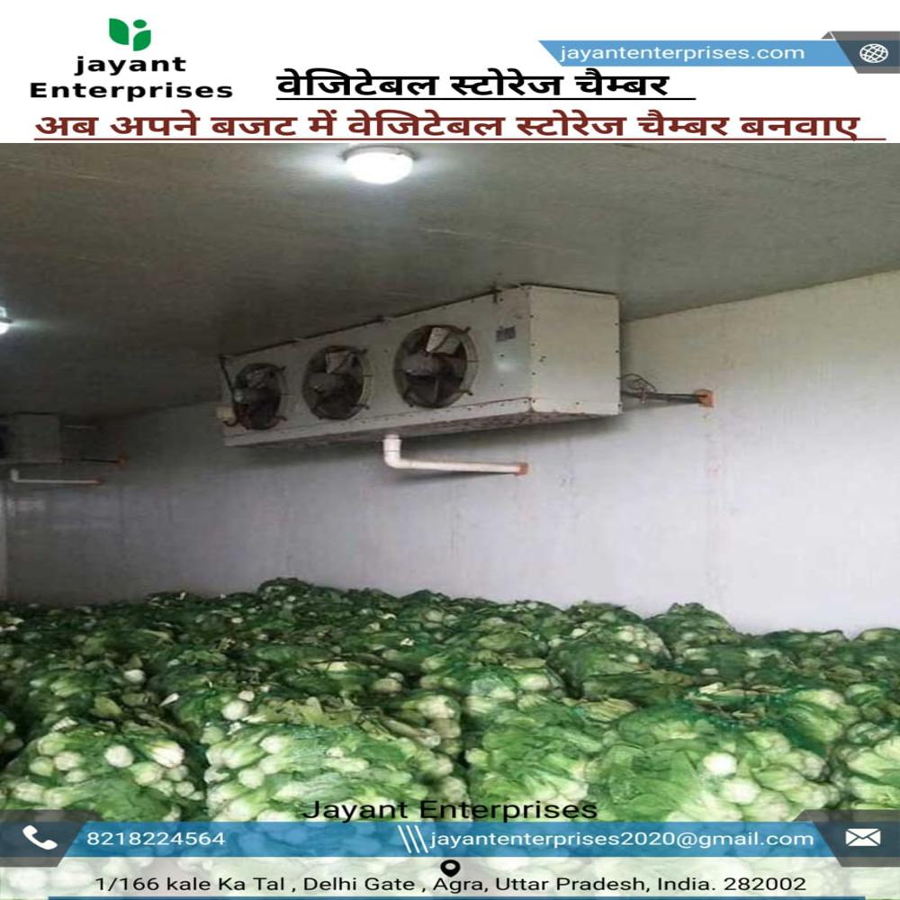 Vegetable Storage Chamber