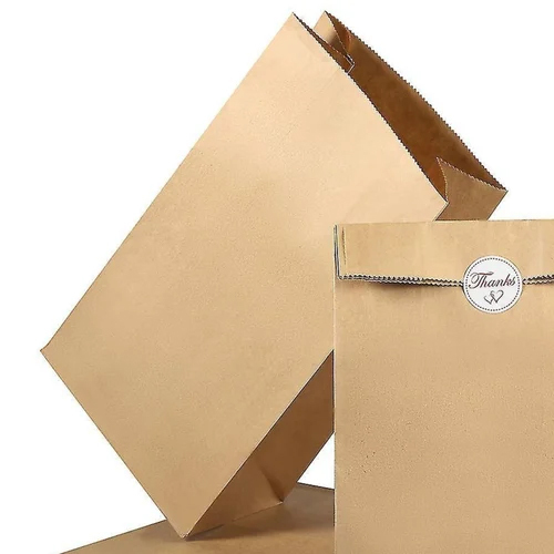 Plain Brown Kraft Paper Bag