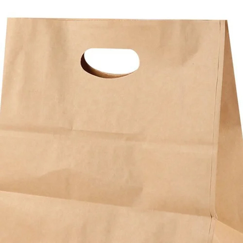 Paper Carry Bag