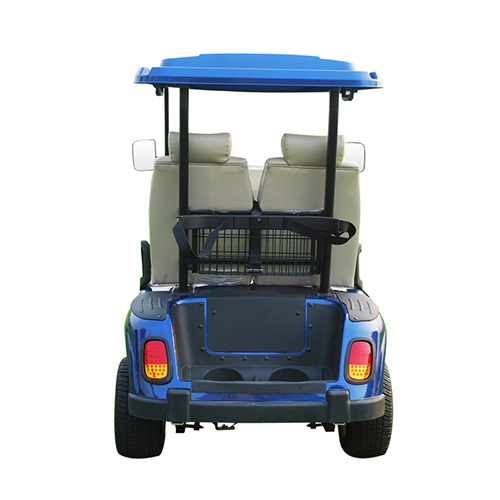 2 Seater Golf Kart