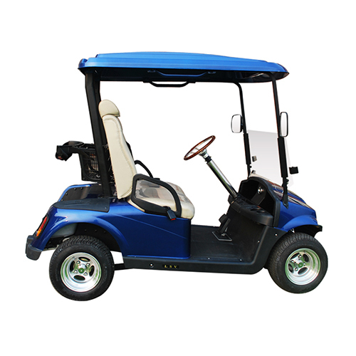2 Seater Golf Kart