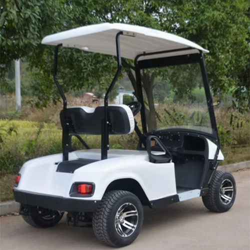 2 Seater Golf Kart