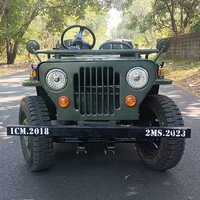 Mini Electric Jeep - Capacity: 400 Kg