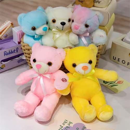 H-21 30cm Rbt Teddy Soft Toy