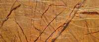 Rain Forest Gold Marble Stone - Artificial Stone Type: Solid Surface