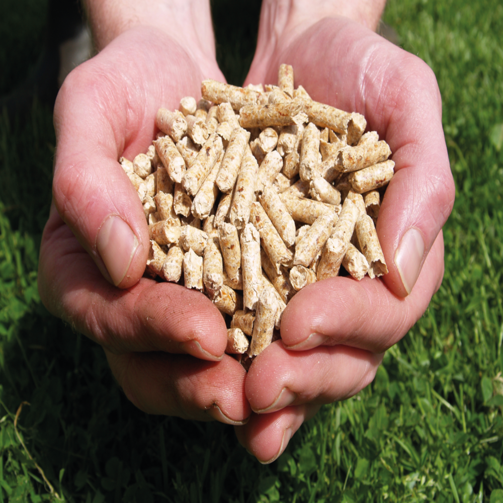 Superior Eco-Friendly Natural Wood Dust Free Pine Wood Pellets - Dimension (L*W*H): 10  Meter (M)