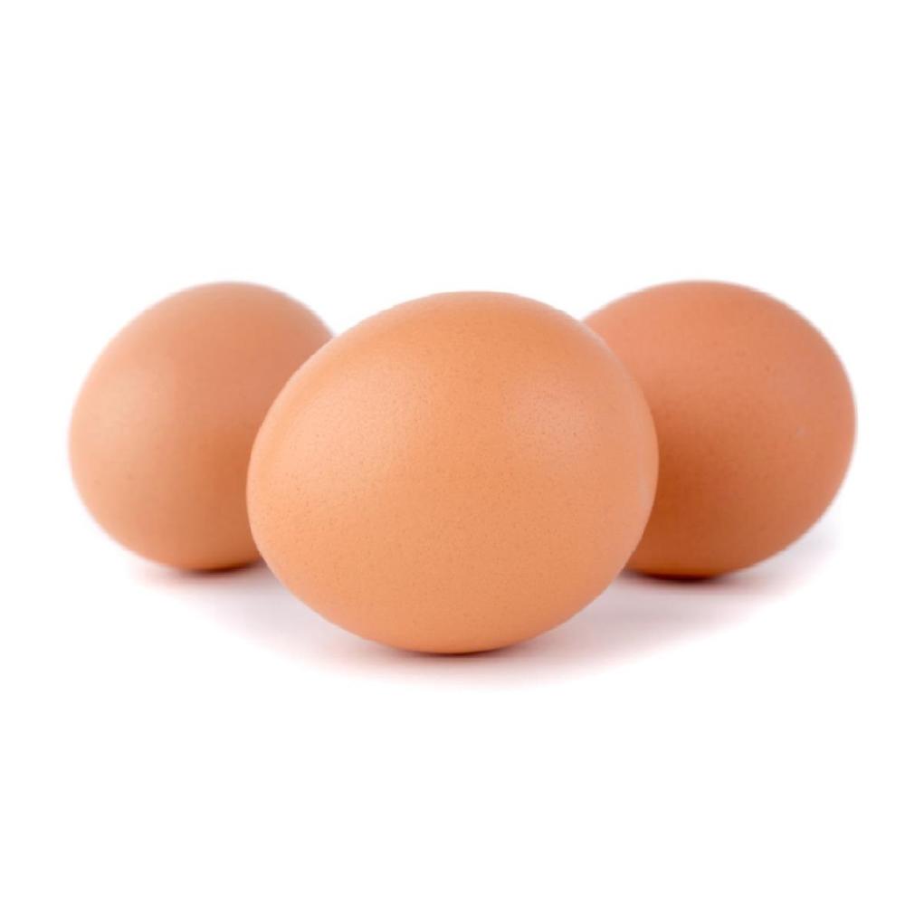 Premium Quality Wholesale Fresh Chicken Table Eggs for Sale