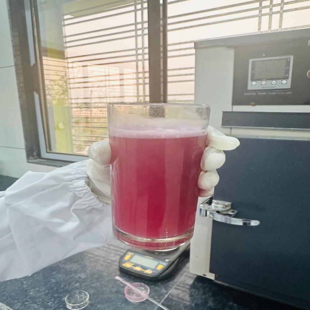 Spray Dried Watermelon Juice Powder